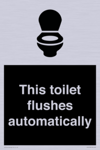 This toilet flushes automatically